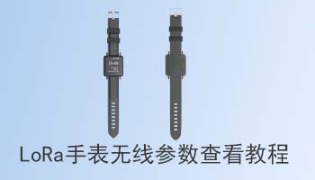 LoRa手表无线参数查看教程