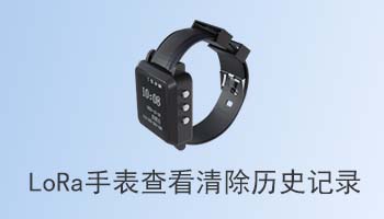 LoRa手表查看/清除历史记录